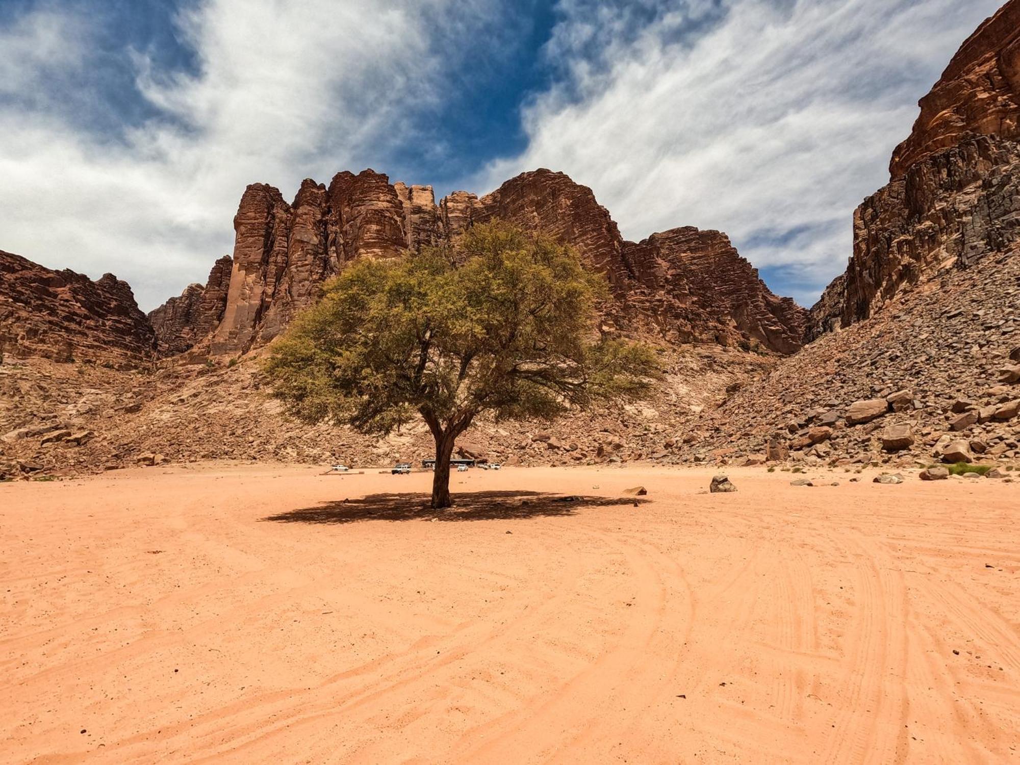 Hotel Stargazing Camp & Tours Wadi Rum Zewnętrze zdjęcie